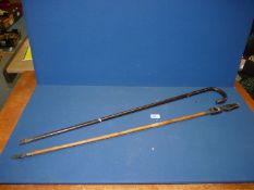 A walking stick with a metal tip and a Dubois grabber.