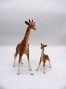 A Mother and baby Giraffe by Beswick, the mother having had two repairs to the legs,