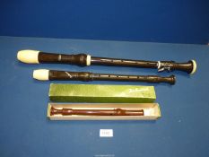 Three Recorders to include a boxed Dolmetsch, Aulos, etc.