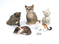 Four Royal Doulton kittens and a Beswick kitten yawning.