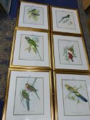 Six framed and mounted prints depicting various colourful birds to include;