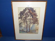 A framed and mounted Watercolour depicting trees at Scarlett's Farm in Colchester,