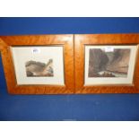 A pair of Cartwright Prints after E.