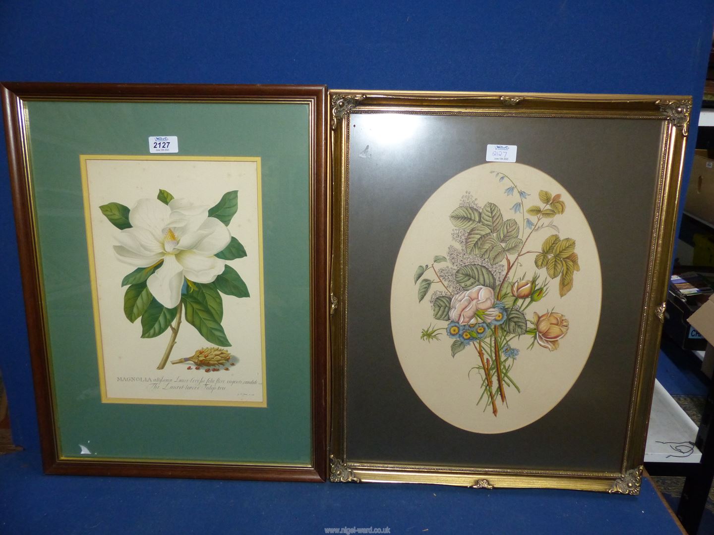 A framed and mounted Print depicting Magnolia,