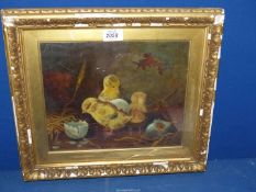 'Chick', framed and mounted oil painting of chick just hatched by Lucy Ann Leavers (?) 1845-1915,