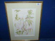 An Anne Sedgwick framed and mounted floral Watercolour,16 1/4" x 20 1/2".