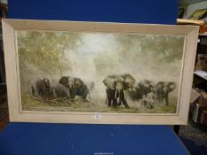 A large David Shepherd Print titled 'Elephants at Ambosel'. 44 1/4" x 24 1/4".