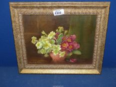 A framed Oil on canvas depicting Primroses by Phyl McMurtry. 14 1/4" x 12".