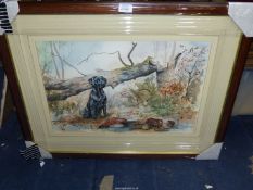 A large framed and mounted Watercolour depicting a black Labrador sat after retrieving his bird,