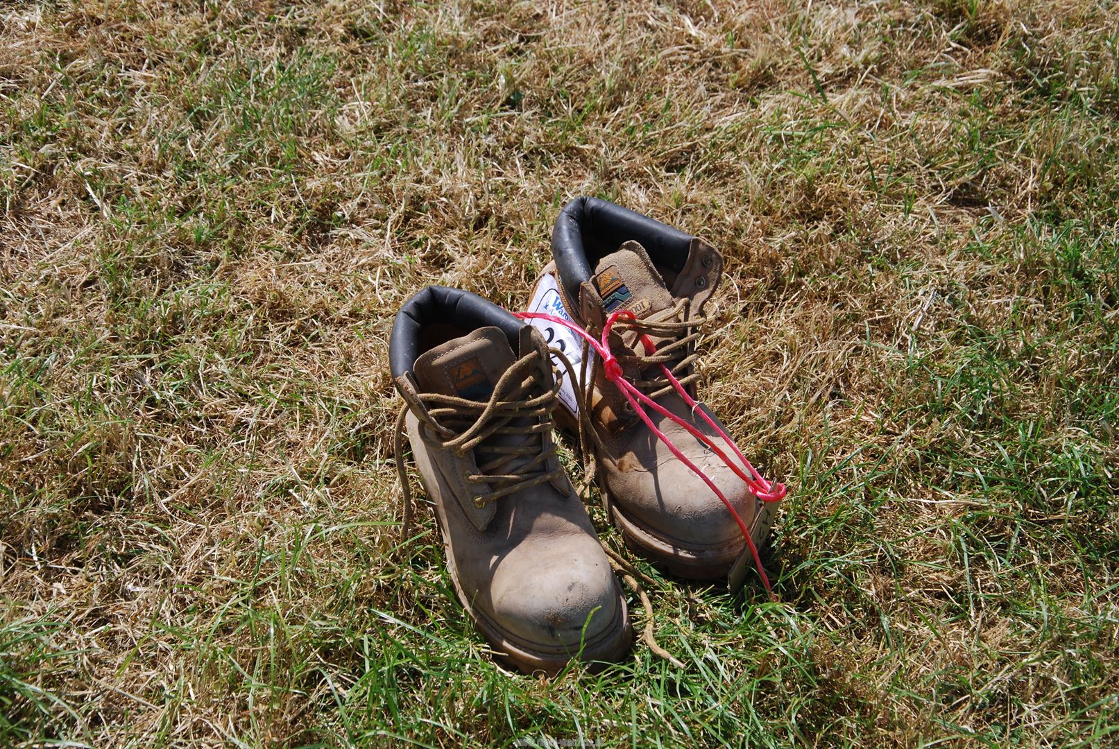 A pair of Groundworks safety work boots. Used but relatively unworn. - Image 2 of 2