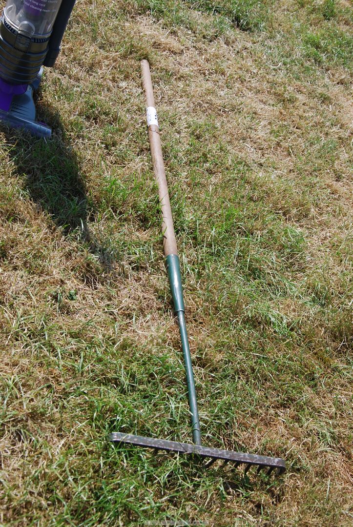 An Ash wood handled garden rake.