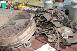 A quantity of heavy horse tack and a riddle.