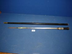 An Ebony Swordstick with Puma head knop and brass detail.