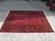 A hand knotted Afghan Bokhara rug in red and black, 48'' x 72''.