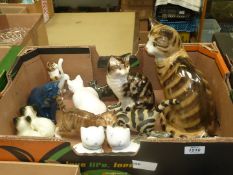 A quantity of pottery cat ornaments including Rye, Rushton, Babbacombe, Sylvac etc.