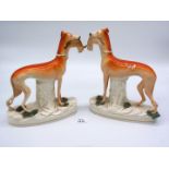 A pair of Staffordshire Greyhounds with rabbits in their mouths,