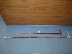 A walking stick with antler handle, 50" long and another with walnut handle, 36" long.