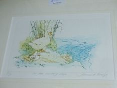 Six Prints featuring ducks by various artists.