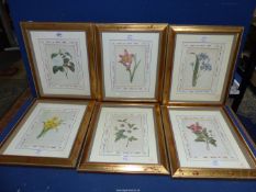 A set of six Prints - 'Les Belles Fleurs de Pierre Joseph Redoute', limited edition collection no.
