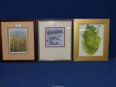 Two Meg Stevens prints: 'Grass, Waun-y-Mynach Common', 'January Snow' and a print of a Squirrel.