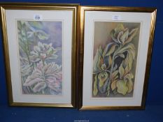 Two framed and mounted pastel paintings to include 'Delphinium's' and 'Irises',
