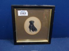 A small framed and circular mounted watercolour of a portrait of a black Labrador, initialled R.A.
