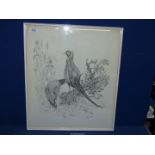 A framed print depicting a pair of pheasants, signed lower right Christine (?), 20'' x 23 ¼''.