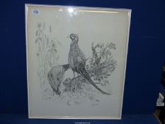 A framed print depicting a pair of pheasants, signed lower right Christine (?), 20'' x 23 ¼''.