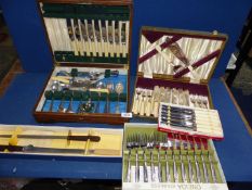 A quantity of cutlery, cutlery box, cased fish eaters, sharpening stone, etc.