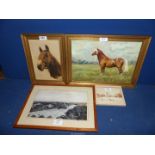 A framed Oil on canvas depicting a horse, along with a Jean Walker Oil on board horse portrait,