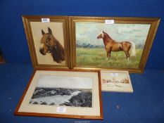 A framed Oil on canvas depicting a horse, along with a Jean Walker Oil on board horse portrait,