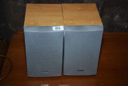 A pair of Aiwa speakers.