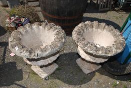 A pair of large concrete urn/planters with piecrust edging, 23" wide x 23" high.