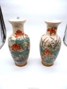 A very unusual pair of Chinese vases,