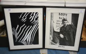 Two framed art Posters, one of James Dean, the other Zebra Nude in style of Lucien Clergue.