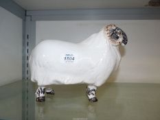 A china figure of a curly horned Ram, 9 1/2' long x 7 1/2'' high.