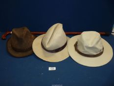 A carved wooden walking stick and three gents trilby/trilby style hats; Dunn & Co.