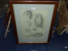 A framed and mounted Print by Neil Davies depicting a study of owls, 19 1/2" x 25".