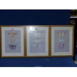 Three modern framed Prints of Butterflies.