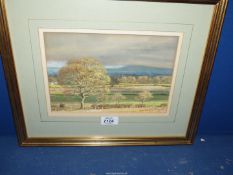 A framed and mounted Oil painting of a country landscape, signed lower right 'Noel Shepherdson 79'.