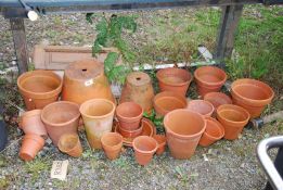 A large quantity of terracotta flower pots in various sizes.