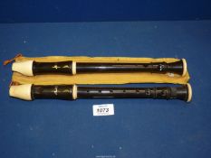 Two Aulos Recorders.