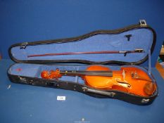 A Stentor Student Violin with bow and case.