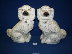 A pair of Mantle Spaniels, white with gold padlocks and flecks, with yellow eyes, 13 1/2'' tall.
