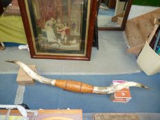A pair of mounted American Longhorn Horns, 100'' long overall, a/f/.