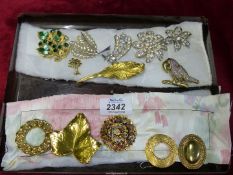 Eleven brooches including ivy leaf, parrot, flowers, leaves etc. and two scarf clips.