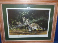 A framed and mounted David Shepherd Print no. 622/950 titled 'Clouded Leopard and Cubs'.