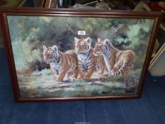 A large framed Print of three Tiger cubs by Silvia Duran, (small crack to glass), 33" x 22 3/4".