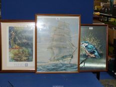 Three Prints - Kingfisher by P. Sturgess, Tall Ship by Don Vaughan and a Monet print.