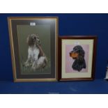 A framed and mounted Charcoal drawing of a Spaniel sitting in the grass,